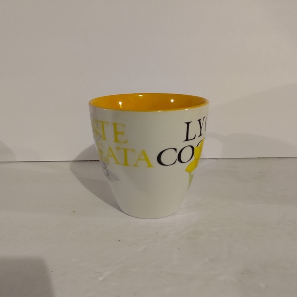 Top Choice Yellow Daffodil, "Lycaste Cocheata", 4" Mug - Picture 2 of 7